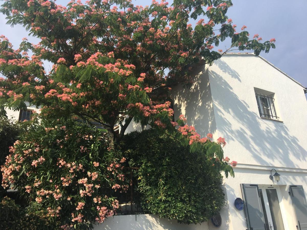 Corniche Du Paradis Roquebrune-sur Argens Ngoại thất bức ảnh