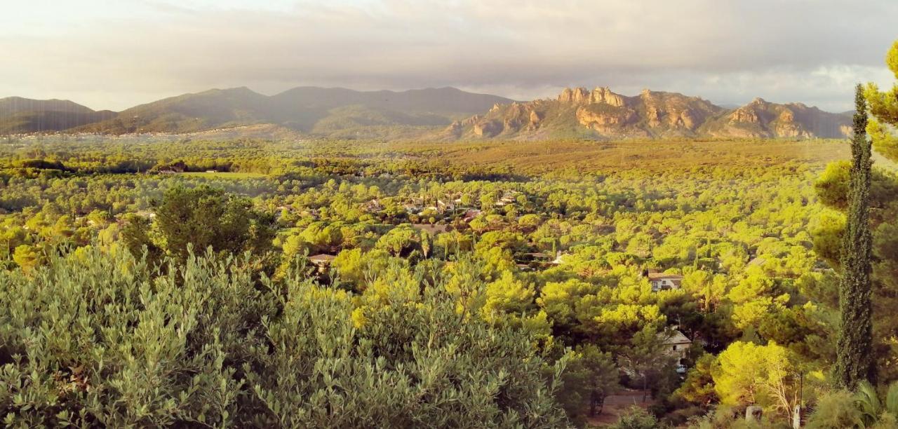 Corniche Du Paradis Roquebrune-sur Argens Ngoại thất bức ảnh